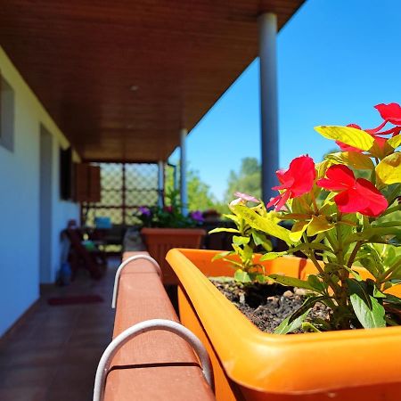 Apartman Dunav Aljmaš Exteriör bild